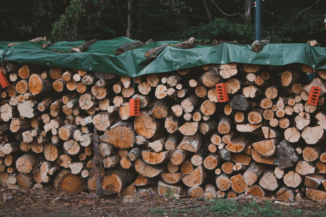 photographie d'un tas de bois
